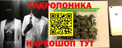 PSILOCYBIN Малгобек