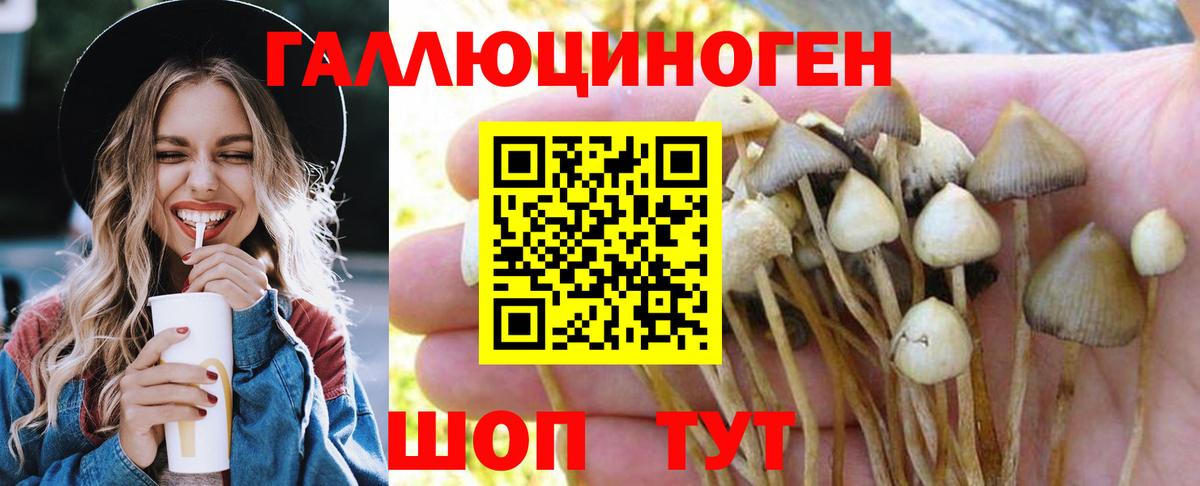 Домодедово  Псилоцибиновые грибы мухоморы  Вход с VPN 